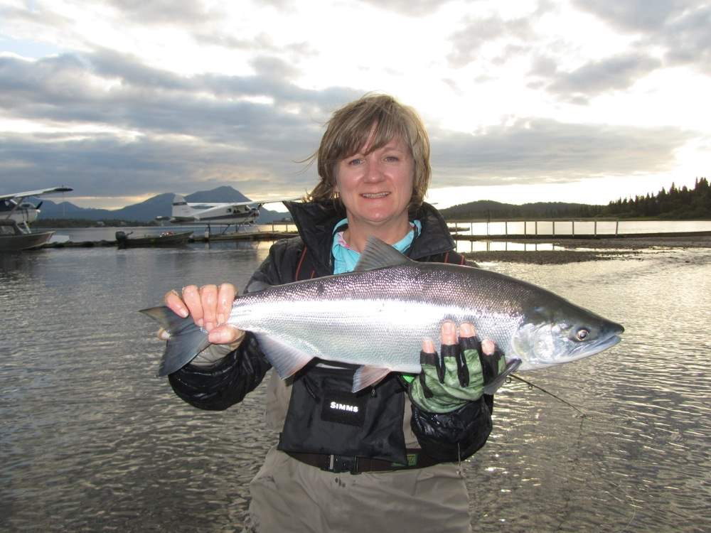 Sockeye Salmon caught in front of Mission Lodge in Bristol Bay Alaska