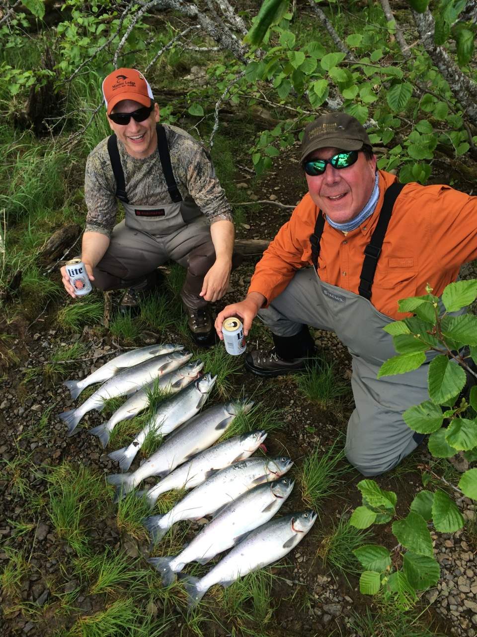 Sockeye Salmon in Bristol Bay Alaska