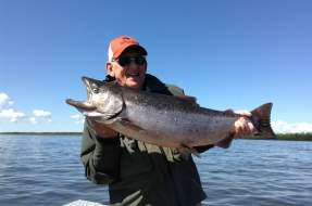 Bristol Bay King Salmon