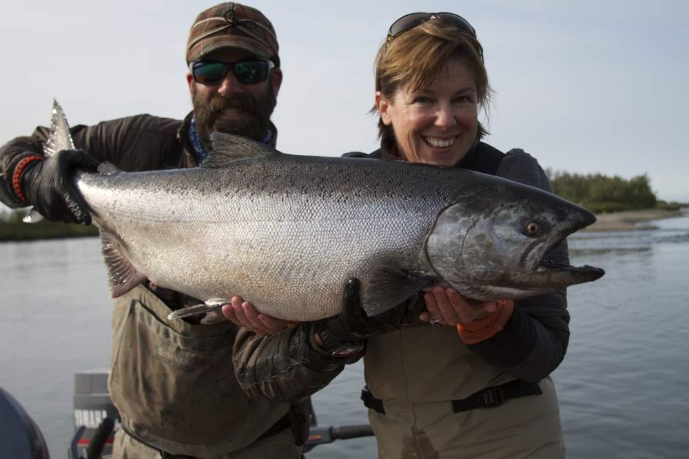 Late July King Salmon in Bristol Bay Alaska