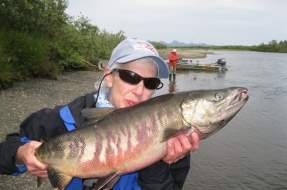 Big Chum Salmon